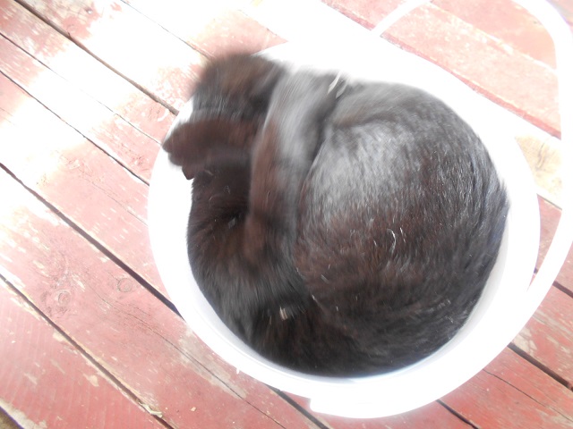 DSCN5996.JPG