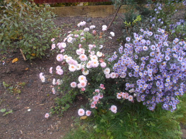DSCN6109.JPG